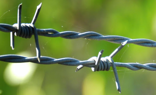 Barbed Wire
