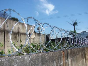 Difference Between Barbed Wire and Razor Wire: A Full-Detailed Blog