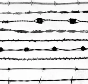 Different Types of Barbed Wire and Their Benefits & Costs in 2025