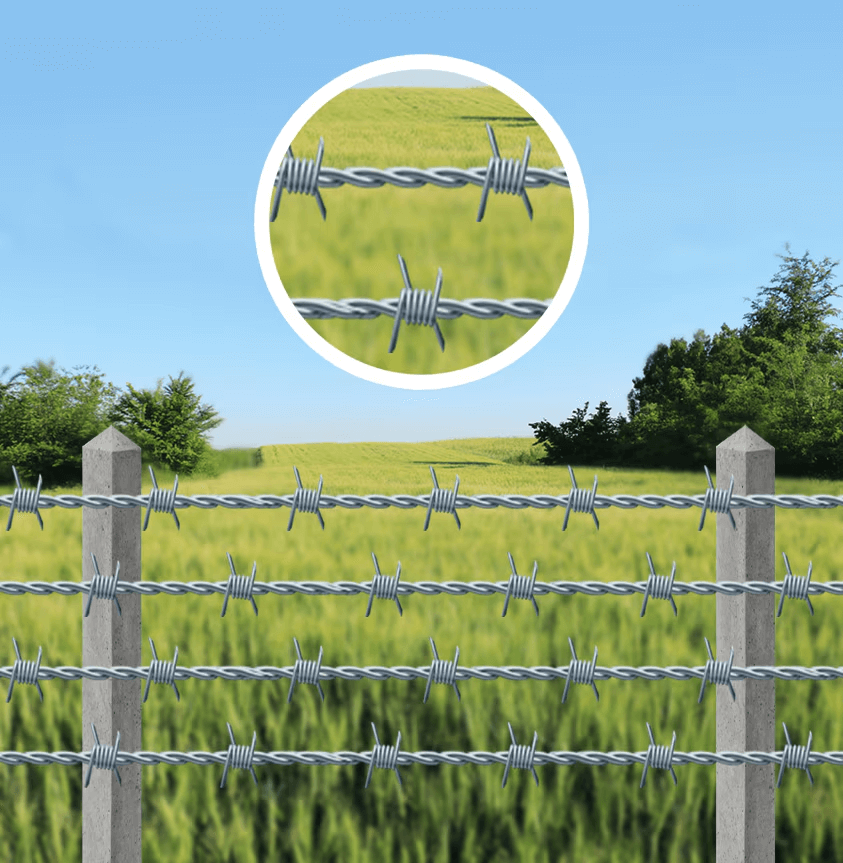 Chain Link vs Barbed Wire vs Welded Mesh